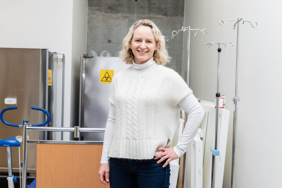 Klikk for større versjon