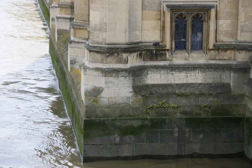 En rapport advarer om at den britiske parlamentsbygningen i London kan falle sammen. Foto: AP Photo/Kirsty WigglesworthStore deler av fasaden, som er skjermet for offentligheten, er rammet av forurensning. Foto: Marius LysøGang mellom Overhuset og Underhuset. Foto: Marius Lysø
