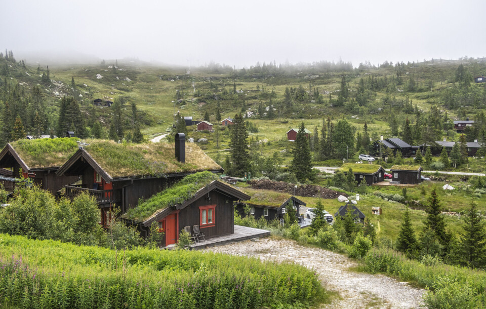 Hytter i hyttefelt på Tempelseter i Eggedal, i Sigdal kommune i Viken. Hytter i hyttefelt på Tempelseter i Eggedal, i Sigdal kommune i Viken. Foto: Halvard Alvik / NTB