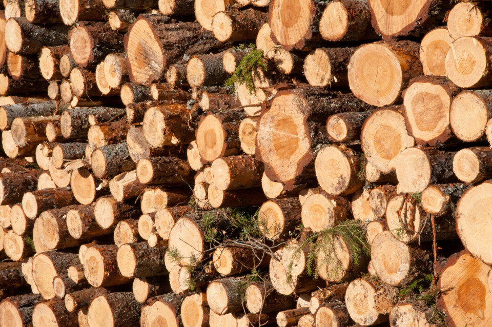 Tømmer, mars 2013Trond Joelson