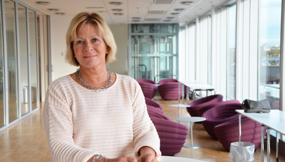 – Trolig har vi lagt den største tilbakegangen i byggevarehandelen bak oss, sier Aslaug Koksvik, direktør for Virke Byggevarehandel.