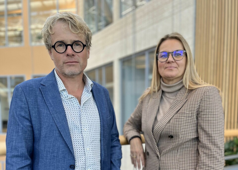 Administrerende direktør Steinar Skjerdingstad og juridisk sjefrådgiver Anette Søby Bakker i i Arkitektbedriftene. Administrerende direktør Steinar Skjerdingstad og juridisk sjefrådgiver Anette Søby Bakker i i Arkitektbedriftene. Foto: Arkitektbedriftene i Norge