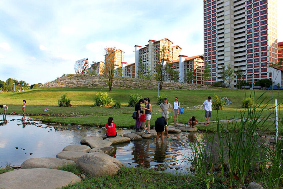 Bishan Park i Singapore. Klikk for større versjon