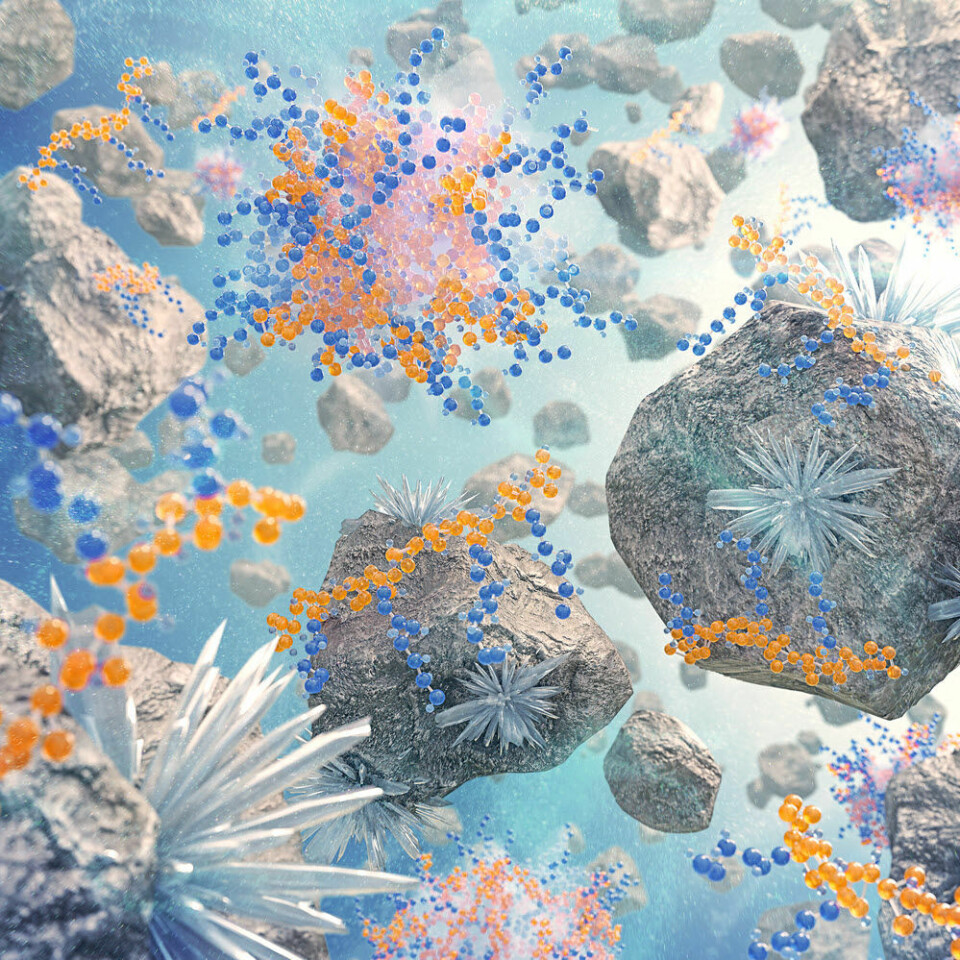 Klikk for større versjon