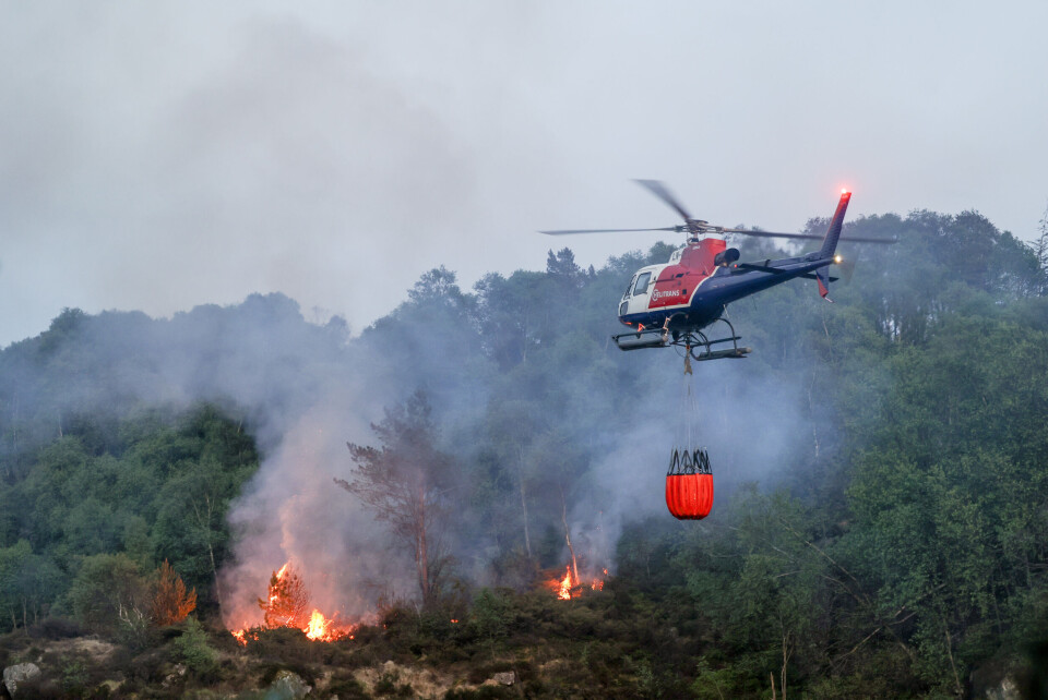 Skogbrannfaren i Øst-Finnmark og østlige deler av Finnmarksvidda er nå på oransje nivå. Illustrasjonsfoto: Silje Katrine Robinson / NTB Skogbrannfaren i Øst-Finnmark og østlige deler av Finnmarksvidda er nå på oransje nivå. Illustrasjonsfoto: Silje Katrine Robinson / NTB