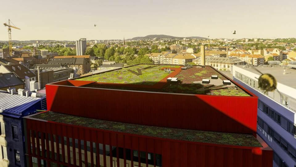 Klikk for større versjon