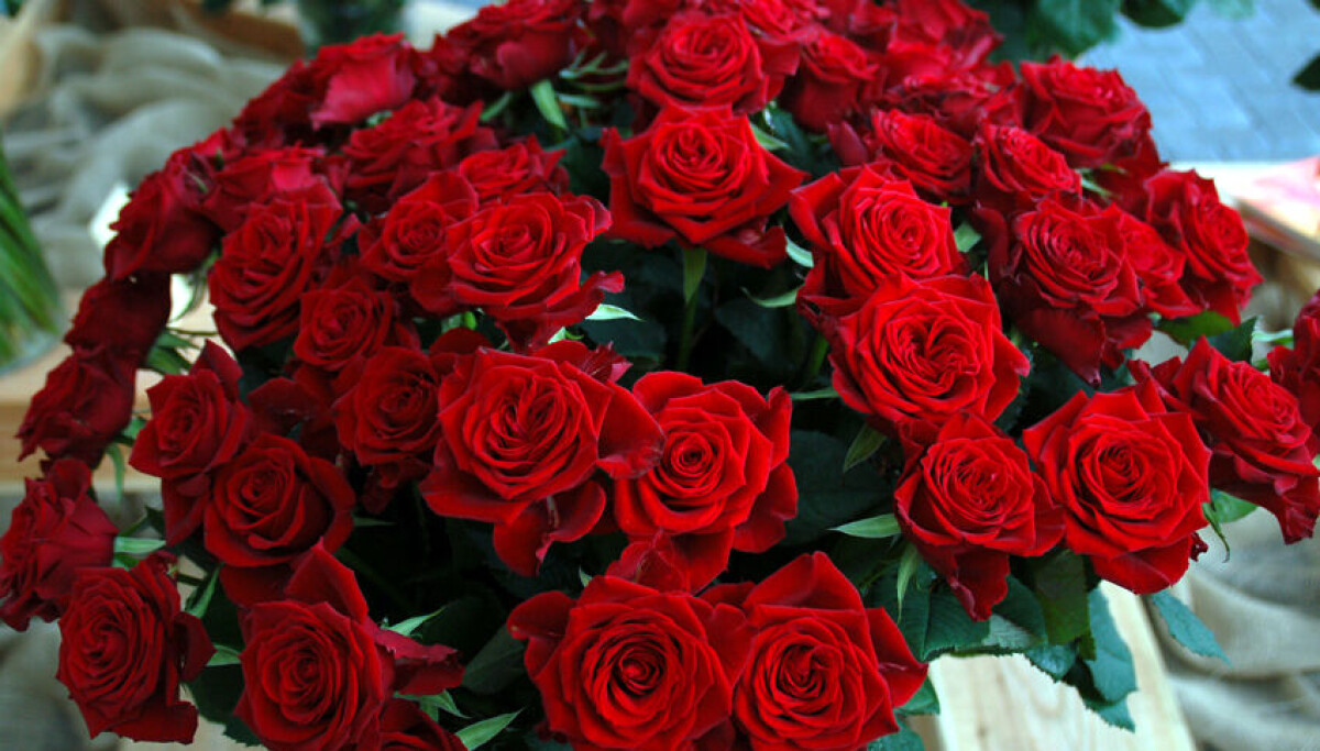 Røde roser står for kjærlighet