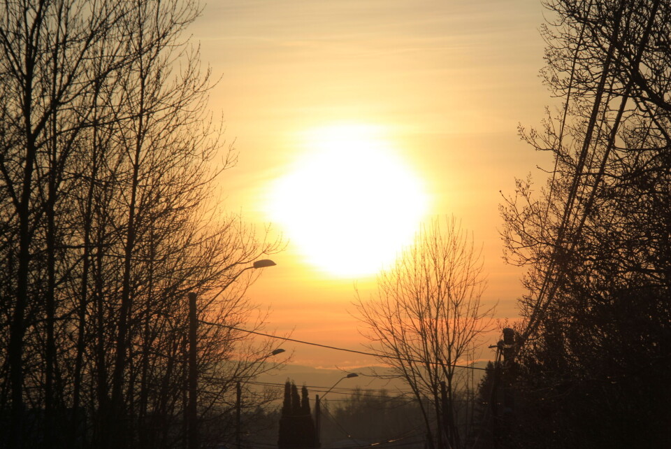 «Vinterhage» romjulen 2014. (Foto: Svanhild Blakstad)