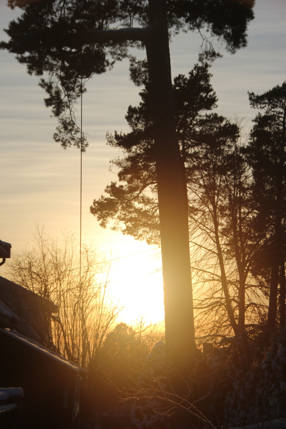 «Vinterhage» romjulen 2014. (Foto: Svanhild Blakstad)