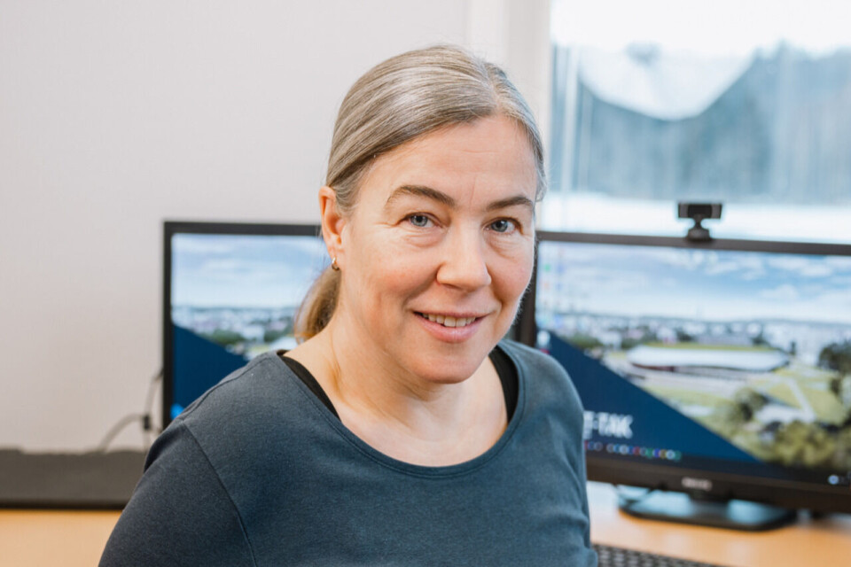 Katrine van Raaij, fagleder statikk og miljø hos Lett-Tak Systemer, kjenner alle mulighetene med takelementene. Klikk for større versjon Katrine van Raaij, fagleder statikk og miljø hos Lett-Tak Systemer, kjenner alle mulighetene med takelementene.