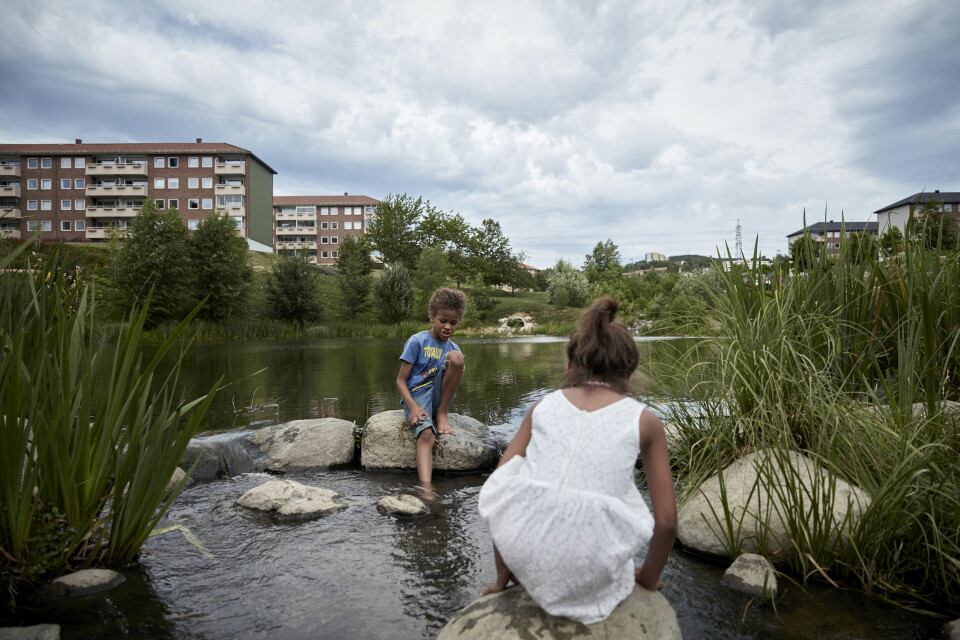 Åpning av bekkeløp i Bjerkedalen park.