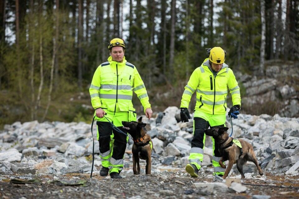 Disse hundene sparer liv og penger