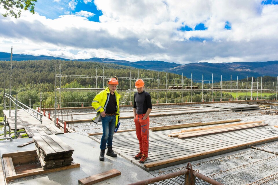 Byggingeniør - Rådgjevar landbruksbygg