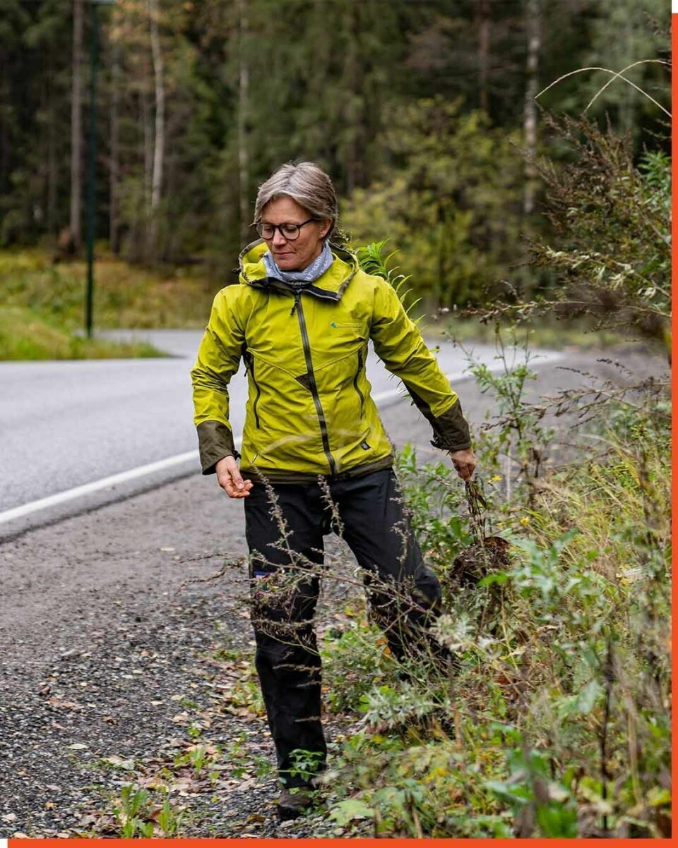 Beate Aase Heidenreich, naturforvalter i COWI. Klikk for større versjon Beate Aase Heidenreich, naturforvalter i COWI.