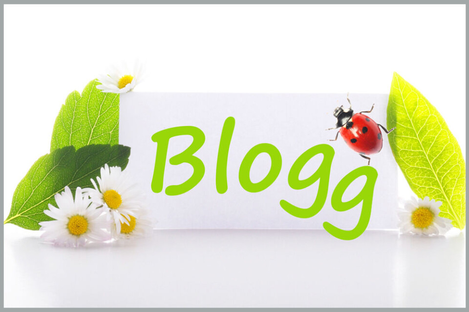 Blogg på hage.no
