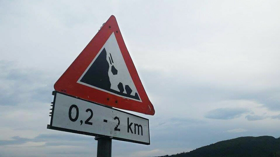 Illustrasjonsfoto: Oda Sverdrup Strand