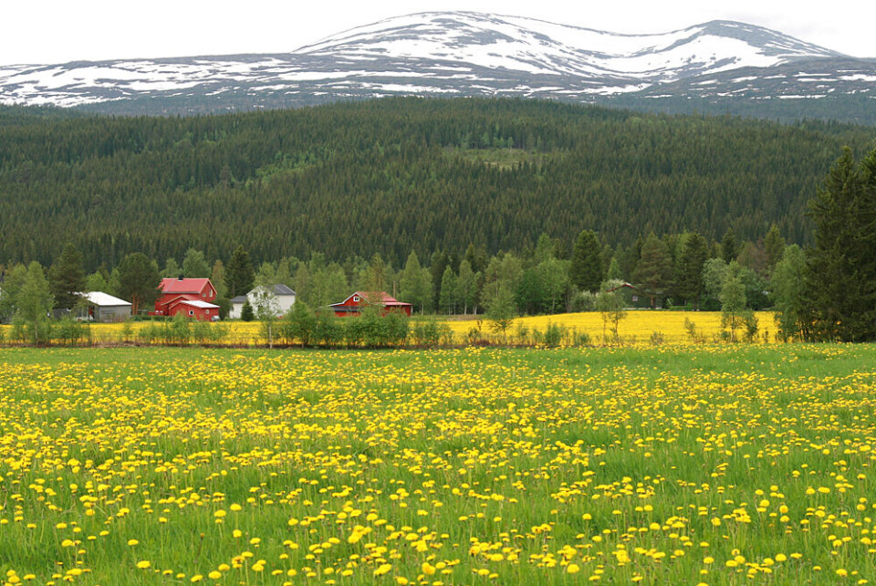 Mattilsynet med endringer om plantevernmidler