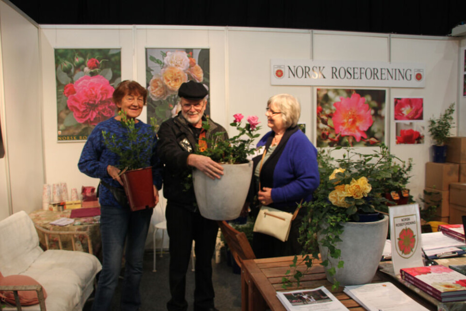 Roseentusiaster fra Agdenes til Hagemessen