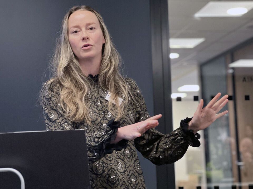 Sjeføkonom Nejra Macic i Prognosesenteret kom med sine prognoser for markedet fremover.