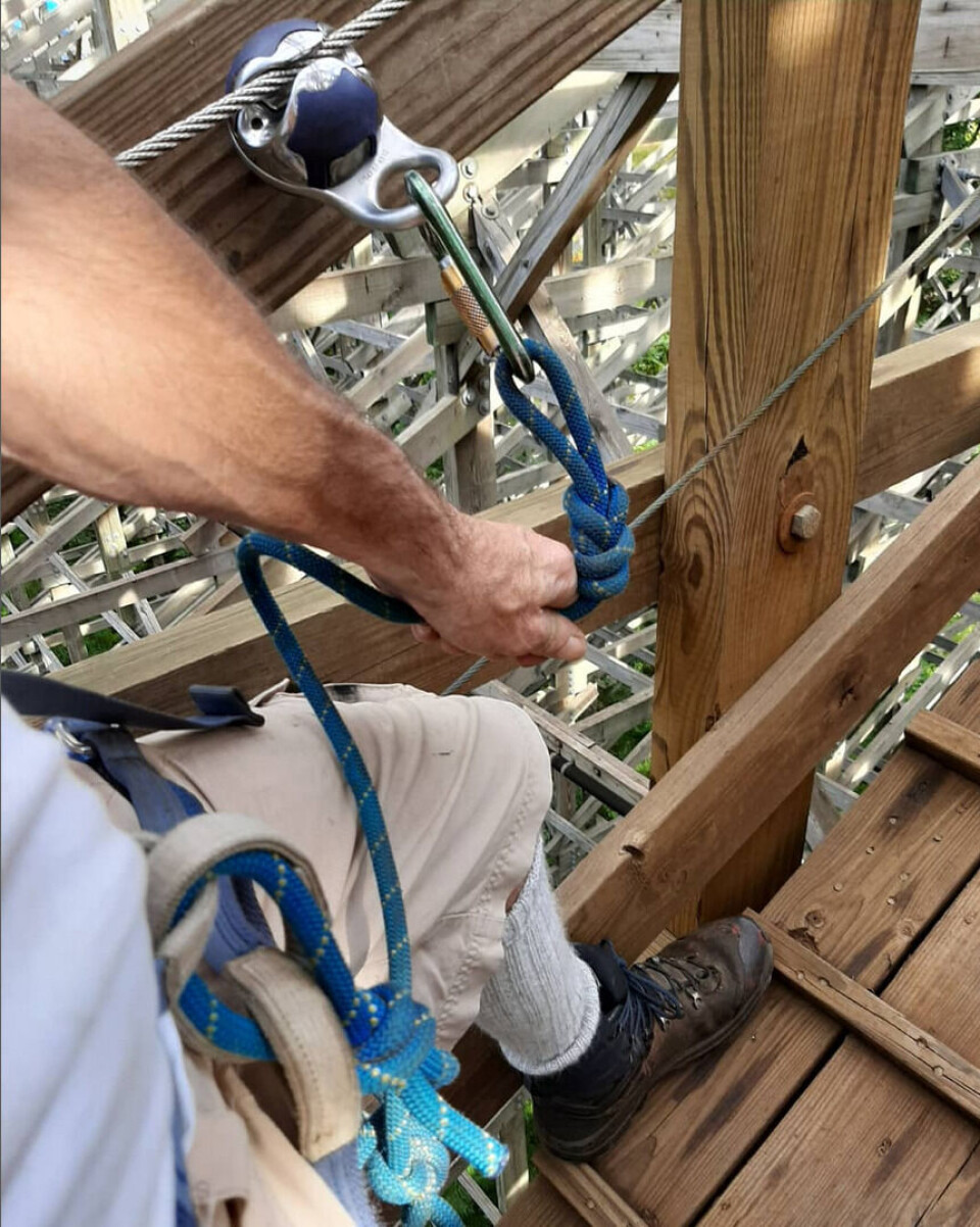 Bildet er fra Hammer Brothers Limiteds Instagram-konto. Foto: privat