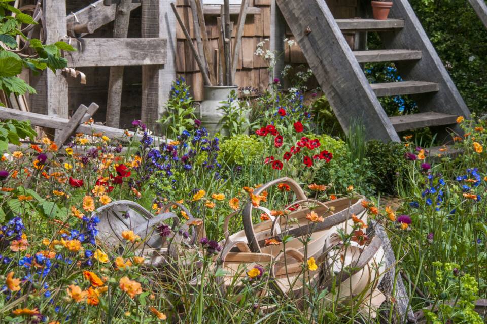 ARTISAN GARDEN Chelsea Flower Show 2015 A Trugmaker's Garden by Future Climate Info. Designed by: Serena Fremantle & Tina Vallis . Sponsored by: Future Climate Info. Foto: Tim Sandall