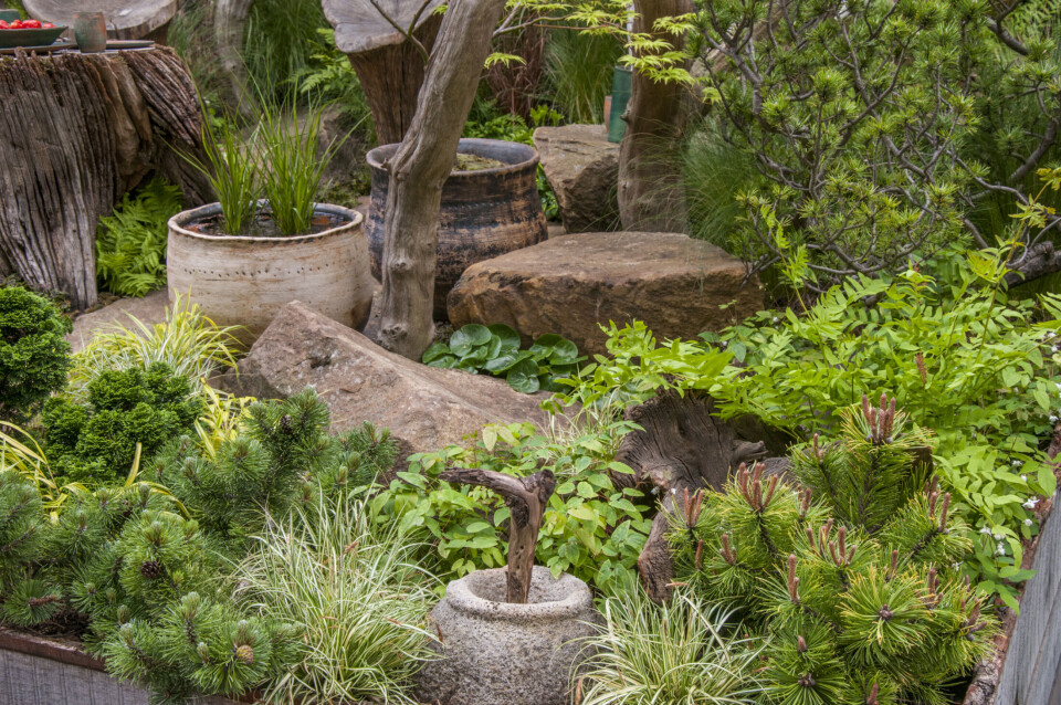 ARTISAN GARDEN Chelsea Flower Show 2015 The Sculptor's Picnic Garden by Walker's Nurseries. Designed by: Graham Bodle. Sponsored by: Walkers Nurseries. Foto: Tim Sandall