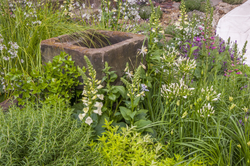 ARTISAN GARDEN Chelsea Flower Show 2015 The Evaders Garden by Chorley Council. Designed by: John Everiss . Sponsored by: Chorley Council. Foto: Tim Sandall