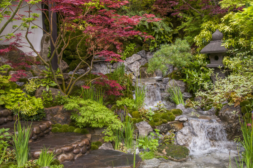 ARTISAN GARDEN Chelsea Flower Show 2015 Edo no Niwa - Edo Garden by Ishihara Kazuyuki Design Laboratory. Designed by: Kazuyuki Ishihara . Sponsored by: Cat's Co Ltd. Foto: Tim Sandall