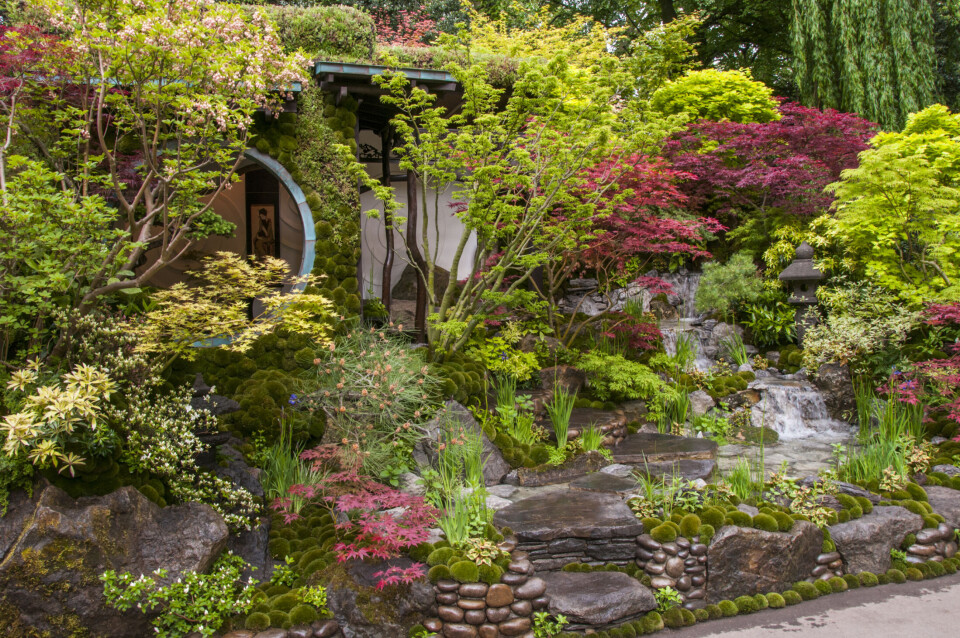 ARTISAN GARDEN Chelsea Flower Show 2015 Edo no Niwa - Edo Garden by Ishihara Kazuyuki Design Laboratory. Designed by: Kazuyuki Ishihara . Sponsored by: Cat's Co Ltd. Foto: Tim Sandall