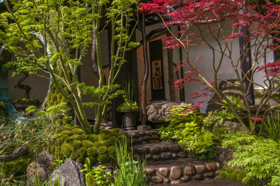 ARTISAN GARDEN Chelsea Flower Show 2015 Edo no Niwa - Edo Garden by Ishihara Kazuyuki Design Laboratory. Designed by: Kazuyuki Ishihara . Sponsored by: Cat's Co Ltd. RHS Chelsea Flower Show 2015. Foto: Tim Sandall
