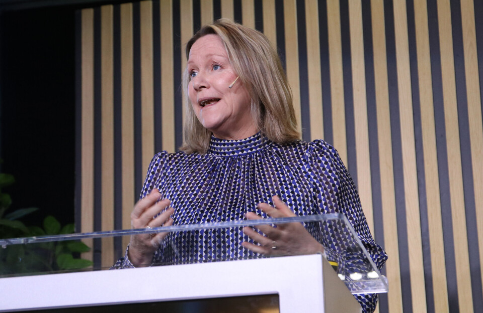 Direktør for Bærekraft og Miljø i Skanska, Randi Lekanger. Foto: Arve Brekkhus