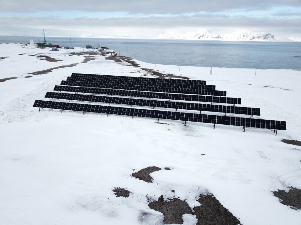 Solceller på Isfjord Radio. Foto: Store Norske