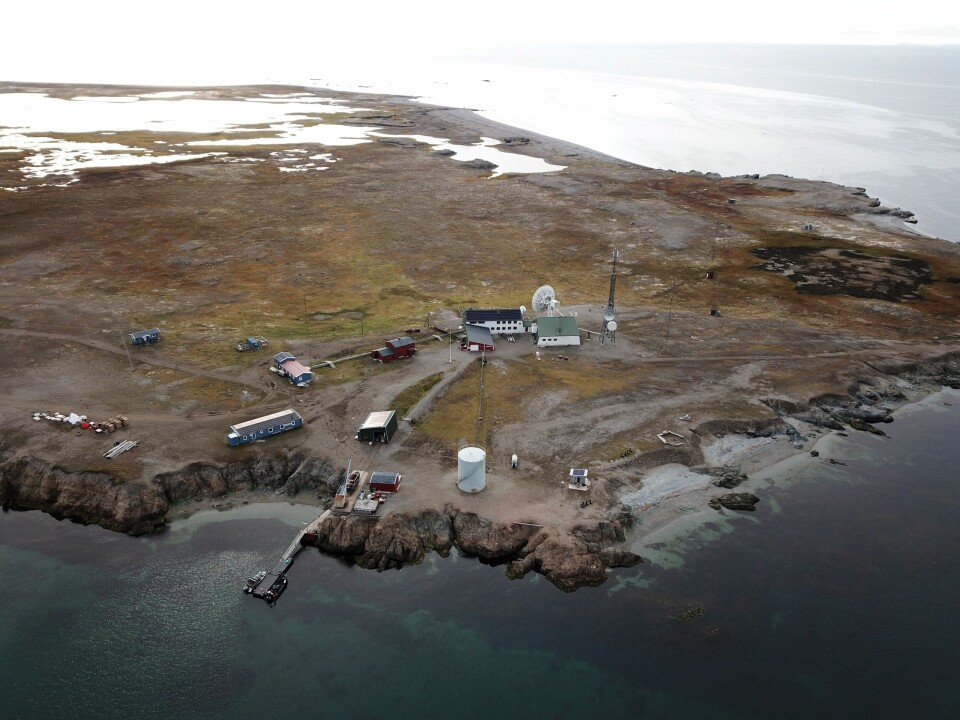 Solceller på Isfjord Radio. Foto: Store Norske