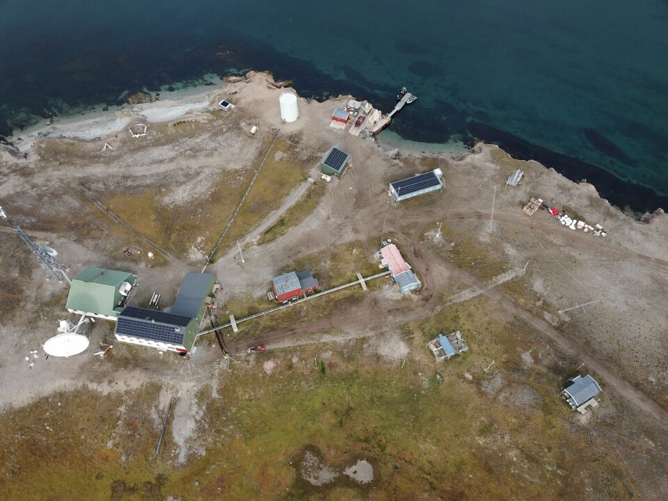 Solceller på Isfjord Radio. Foto: Store Norske