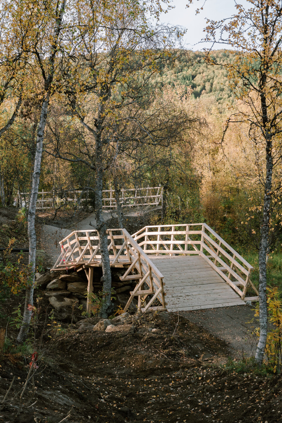 Harstad Bikepark. Foto: Velosolutions Scandinavia
