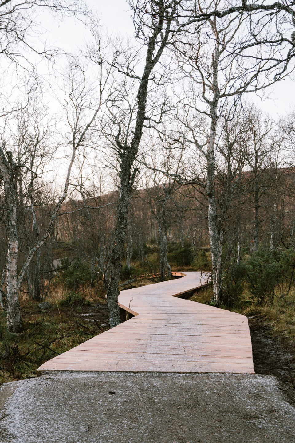 Harstad Bikepark. Foto: Velosolutions Scandinavia