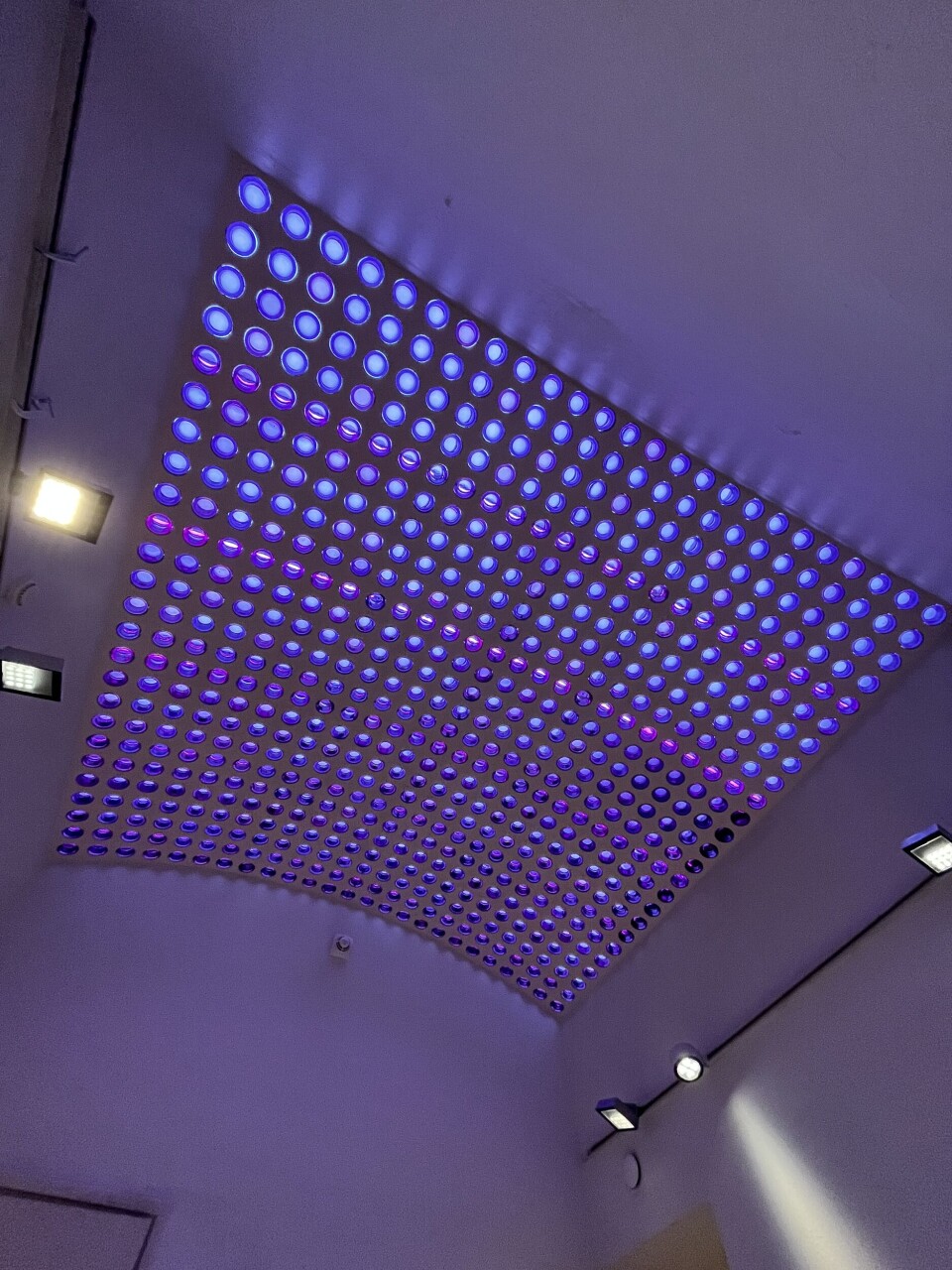 Glassprismer i taket over trappegangen.