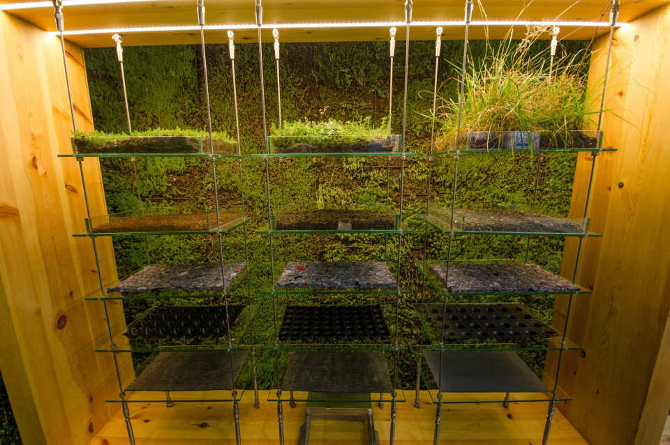 Foto: Sindre Sverdrup Strand