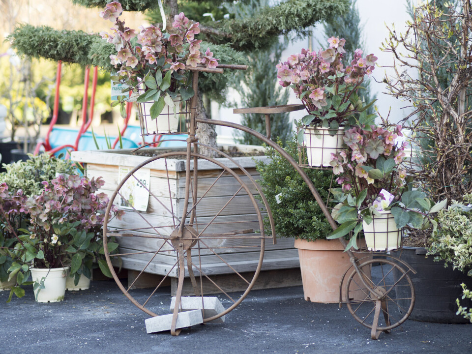 Fra Foss Hagesenter.