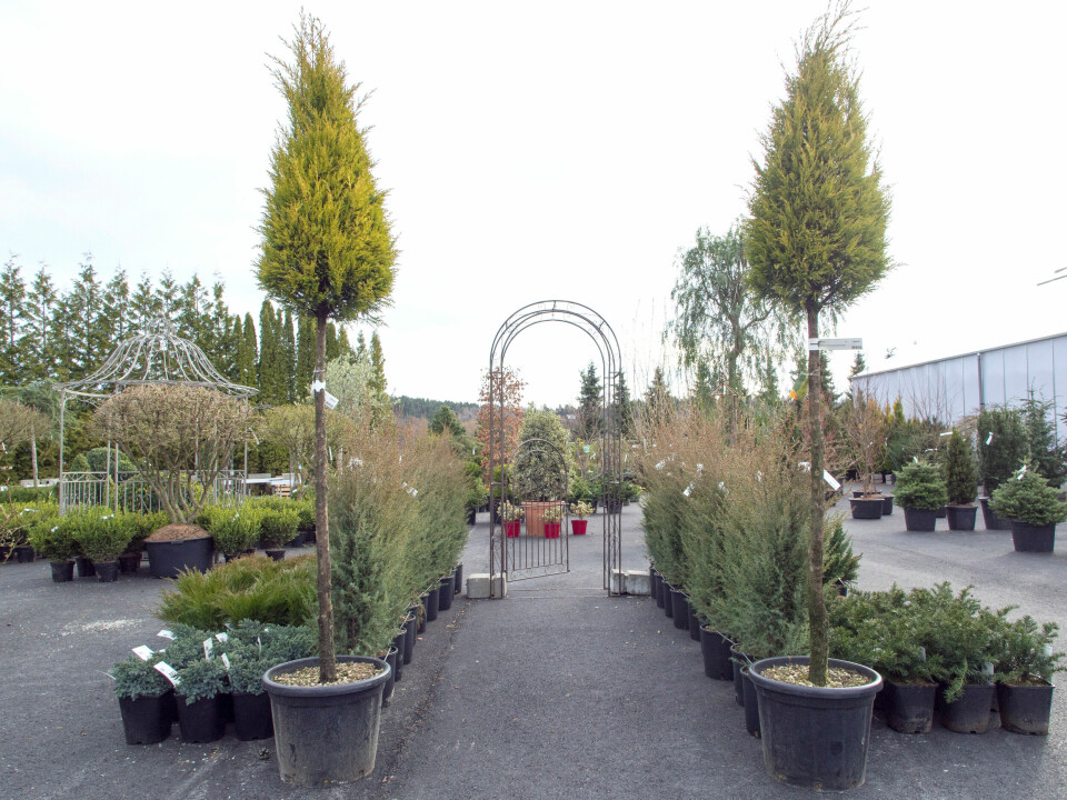 Fra Foss Hagesenter.