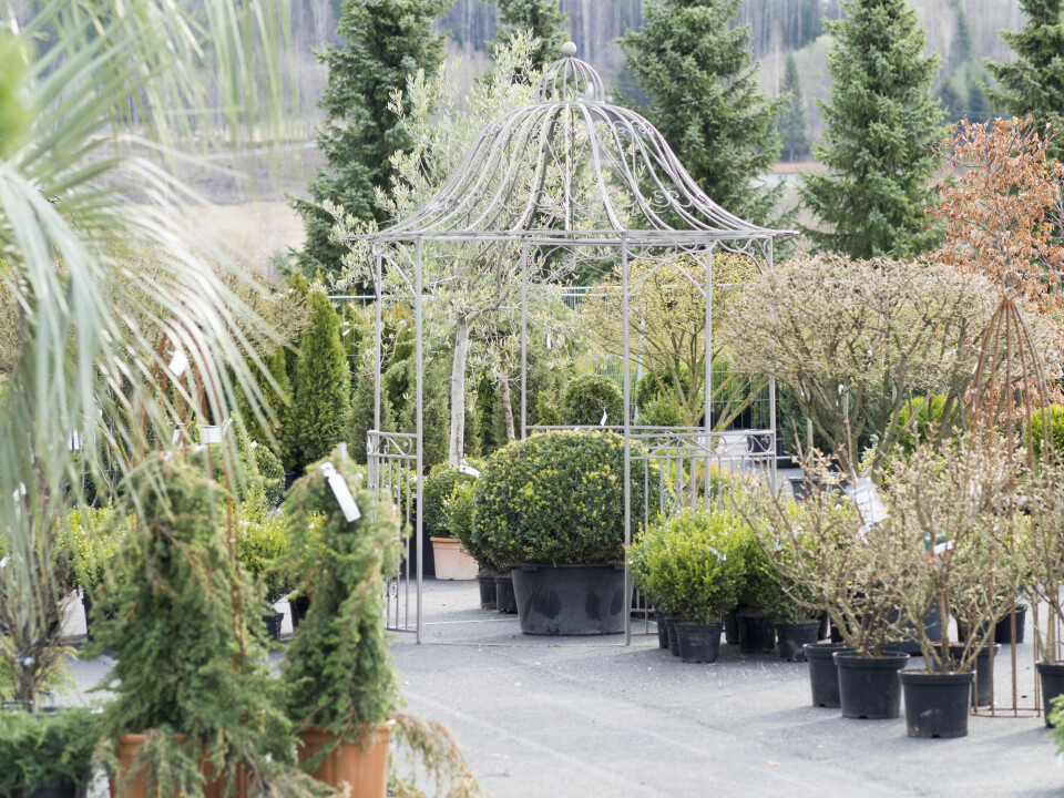 Fra Foss Hagesenter.