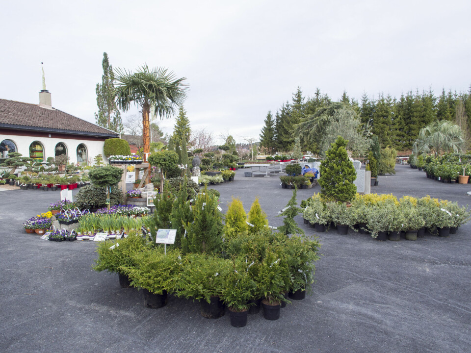 Fra Foss Hagesenter.