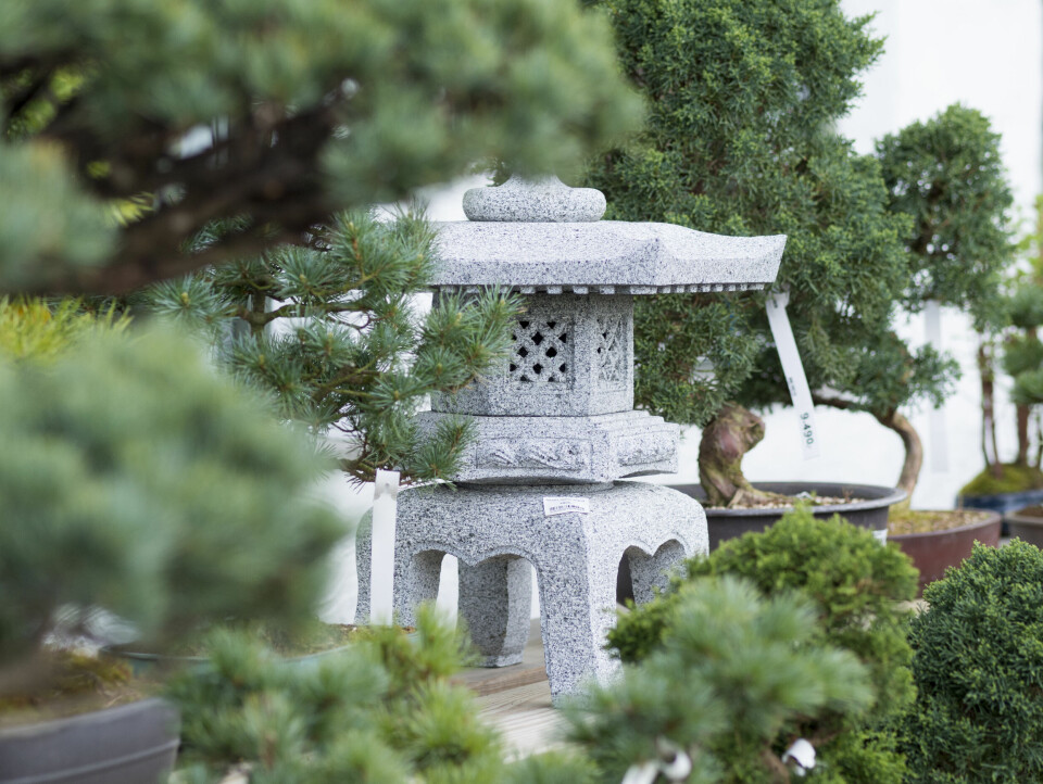 Fra Foss Hagesenter.