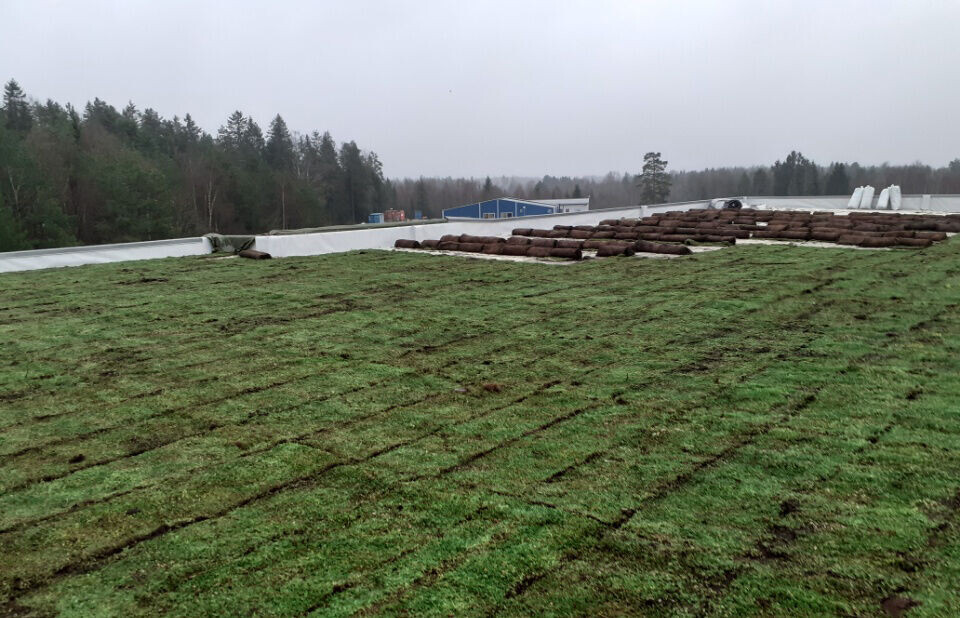 Vellykket sedumtak med Sika PVC-membran