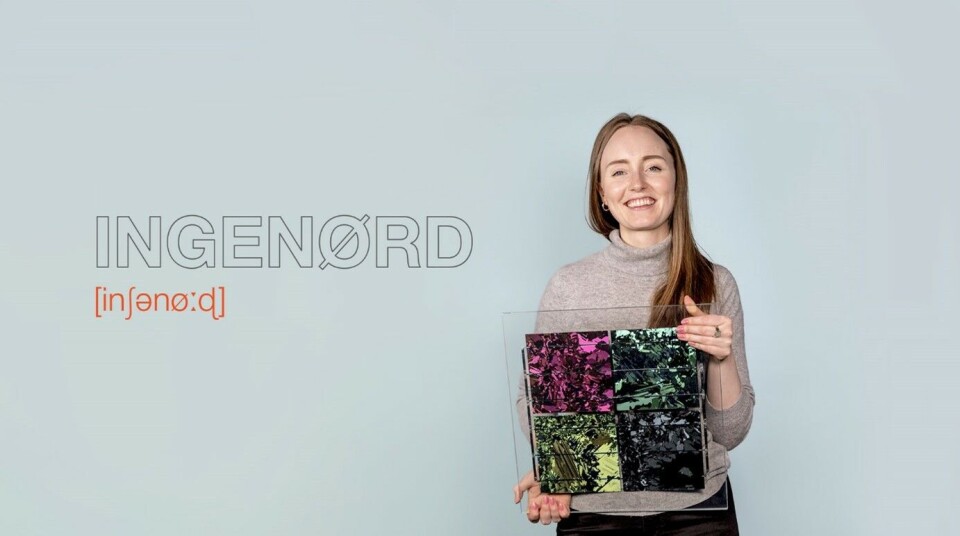 Klikk for større versjon