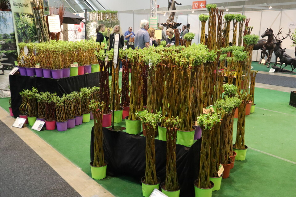 Hagemessen 2019 - dag 2. Foto: Svanhild Blakstad