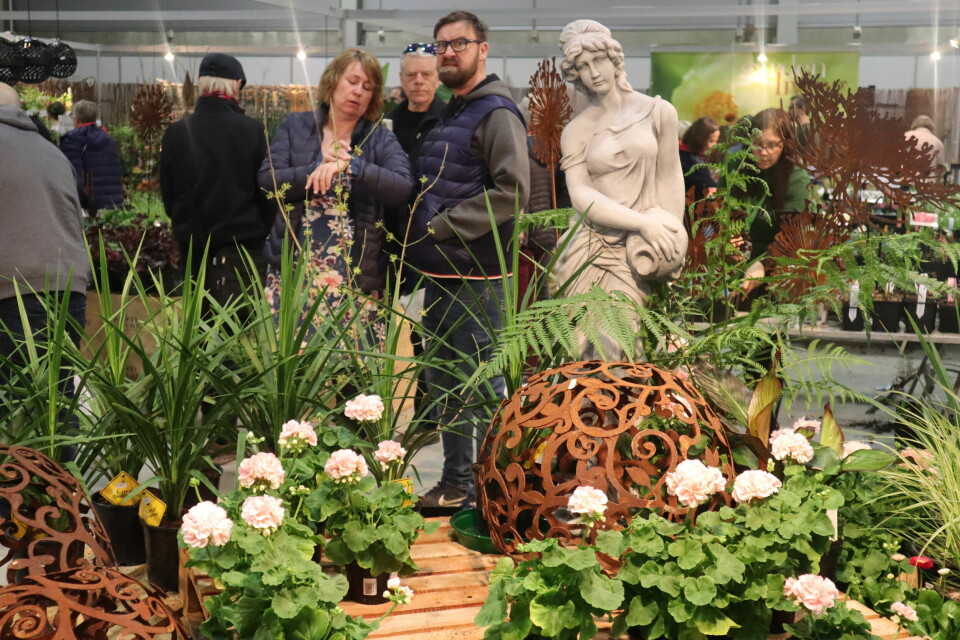 Hagemessen 2019 - dag 2. Foto: Svanhild Blakstad
