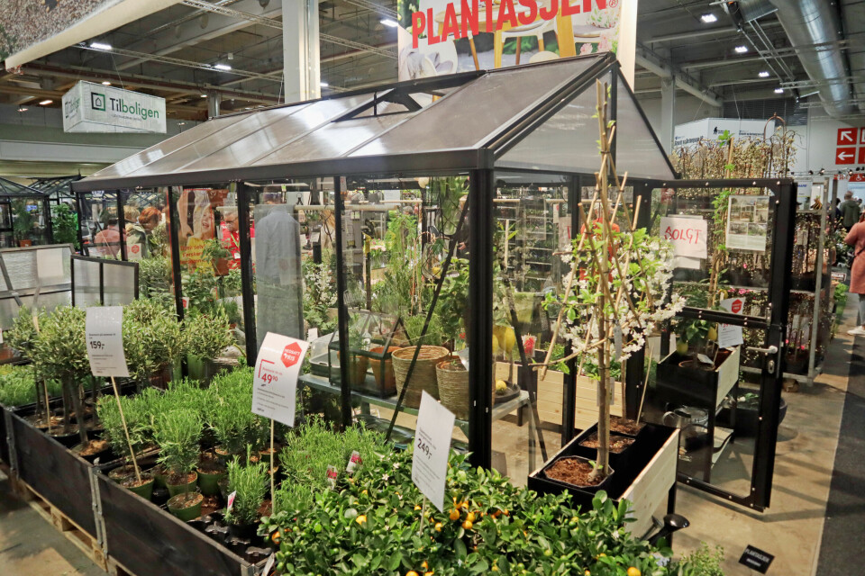 Hagemessen 2019 - dag 2. Foto: Svanhild Blakstad