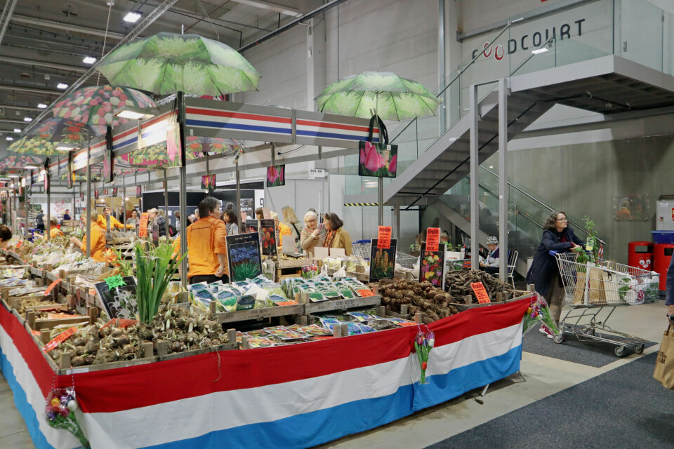 Hagemessen 2019 - dag 2. Foto: Sigurd Blakstad Bergsli