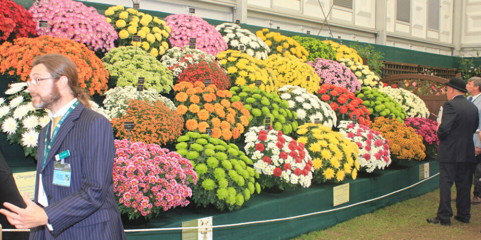 Siste nytt i blomsterprakt